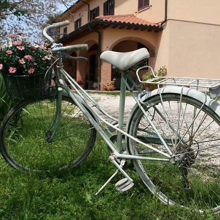 Agriturismo Diciocco Venturina Terme Eksteriør billede