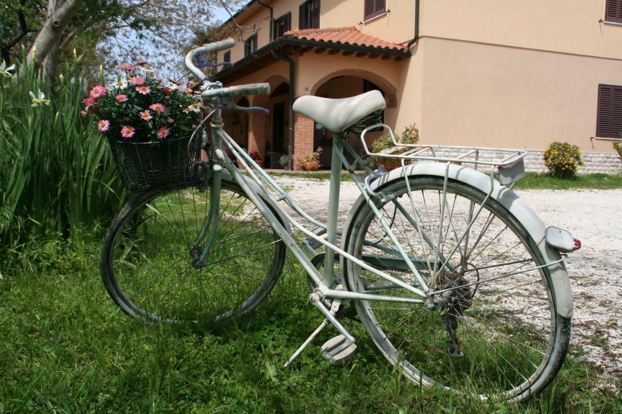 Agriturismo Diciocco Venturina Terme Eksteriør billede