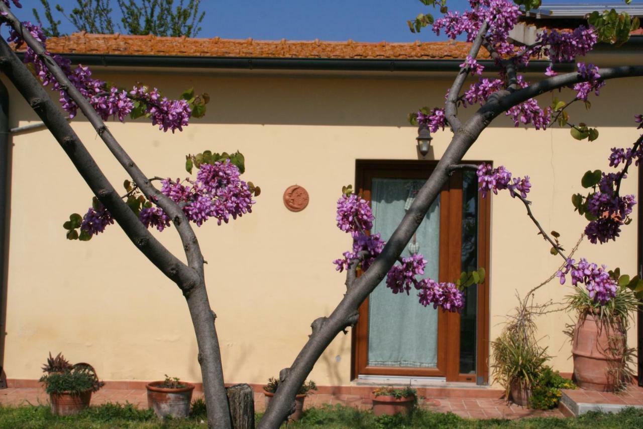 Agriturismo Diciocco Venturina Terme Eksteriør billede