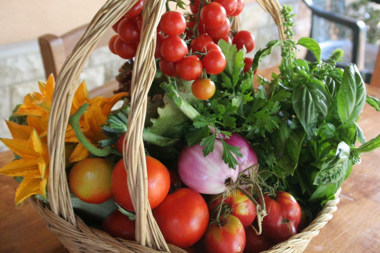 Agriturismo Diciocco Venturina Terme Eksteriør billede