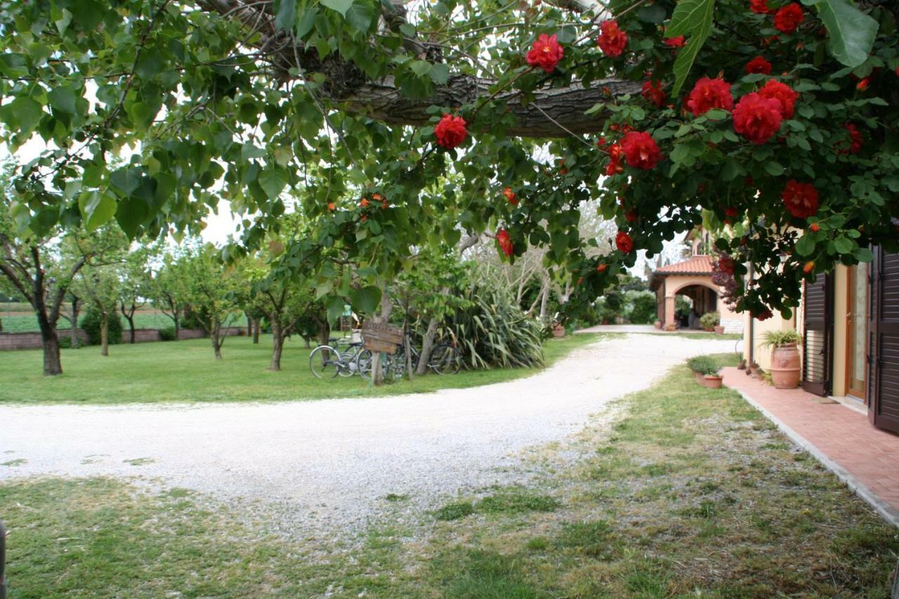 Agriturismo Diciocco Venturina Terme Eksteriør billede